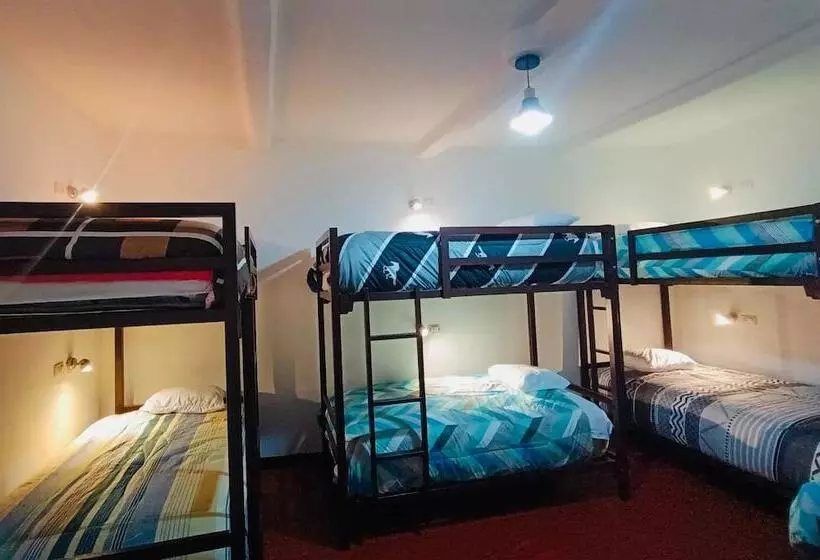 پانسیون Terra House Hostel