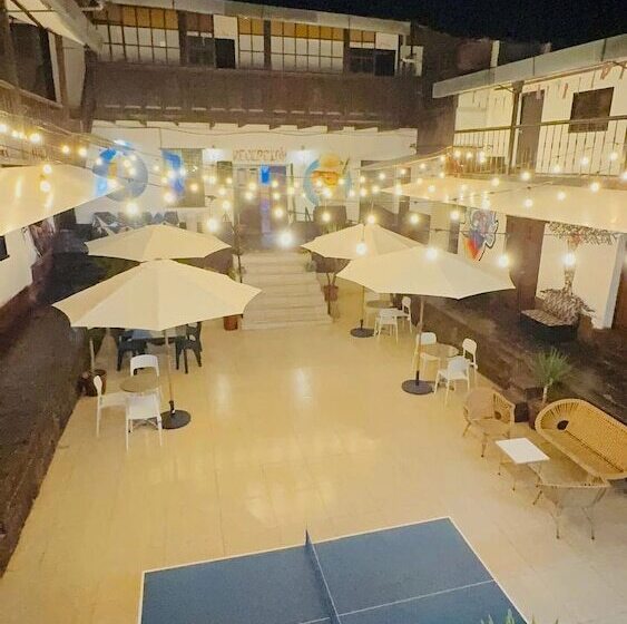 بنسيون Terra House Hostel