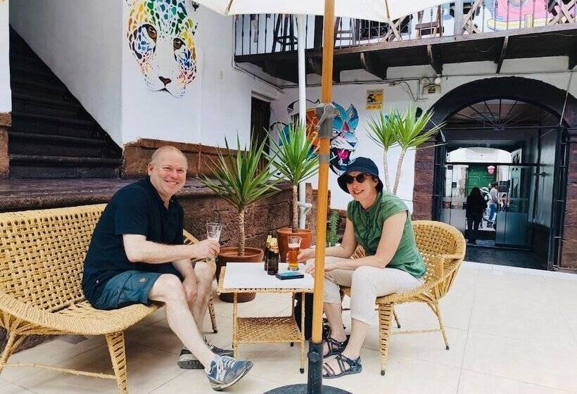 بنسيون Terra House Hostel