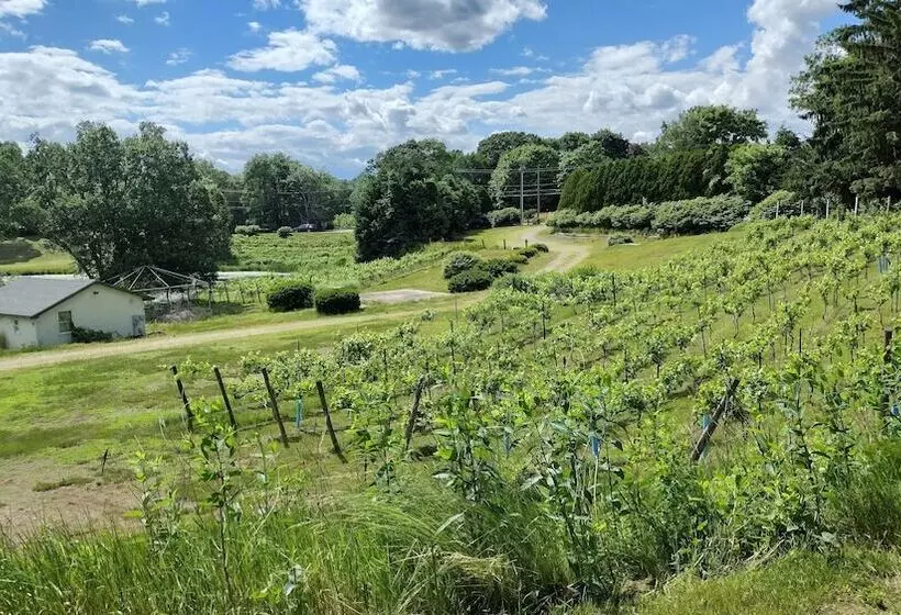 Aamiaismajoitus (B&B) The Cottage At Amos Lake