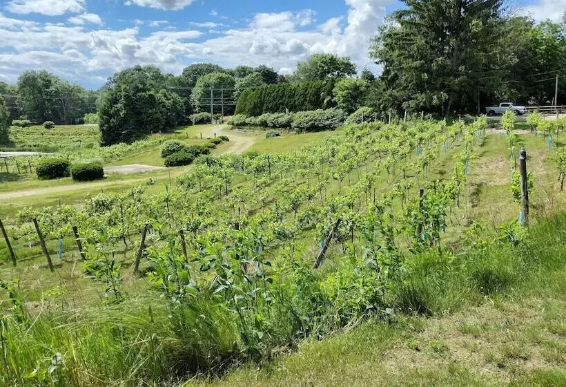 Aamiaismajoitus (B&B) The Cottage At Amos Lake