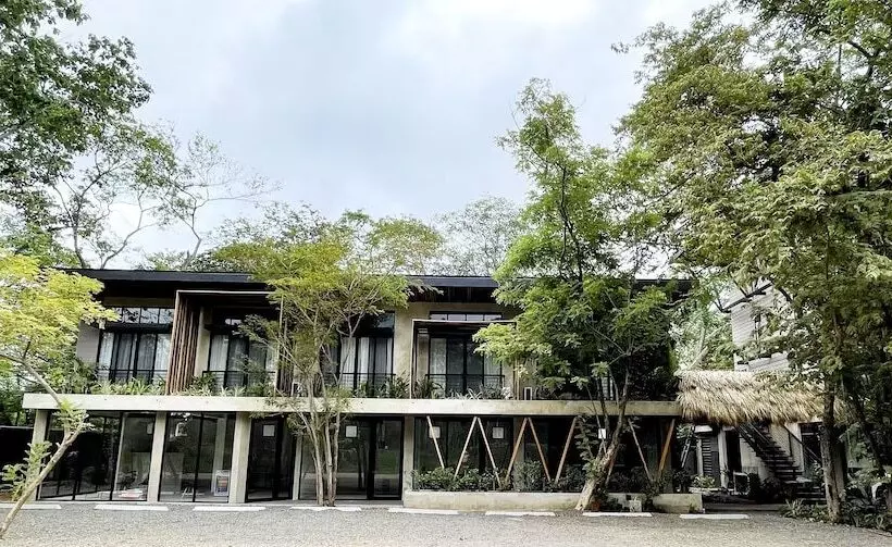 Hotelli Mar Botánico   Avellanas Beach