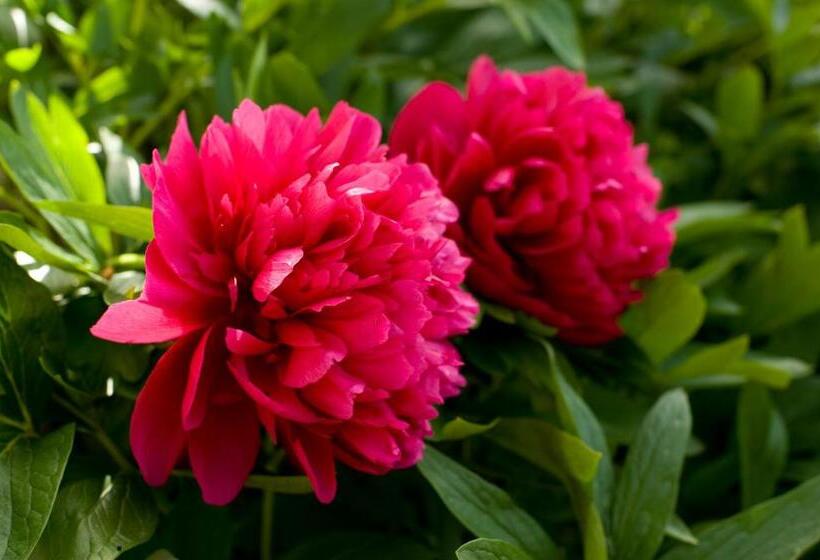 مبيت وإفطار Gästehaus Kasbichler