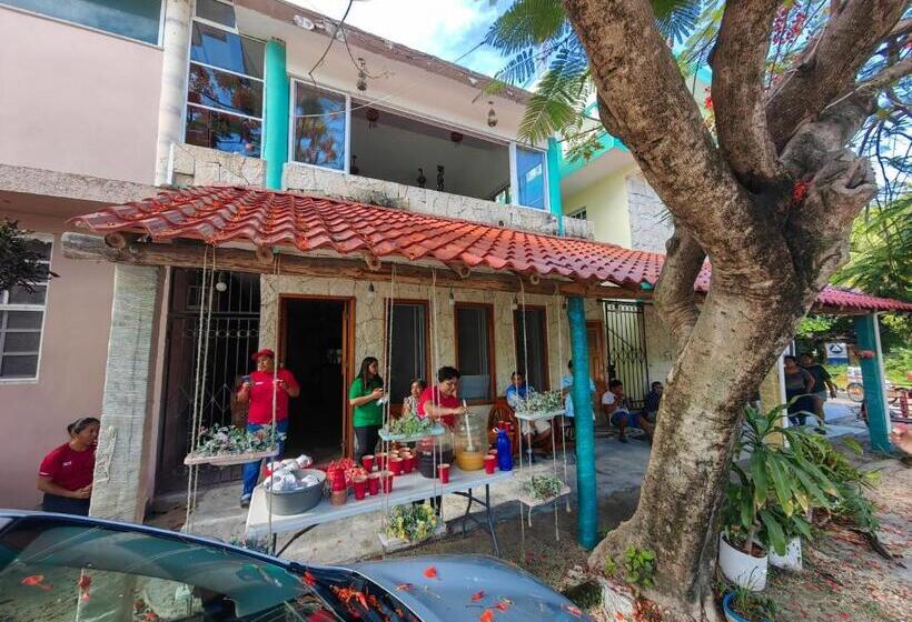 酒店 Casa Viejo Chac