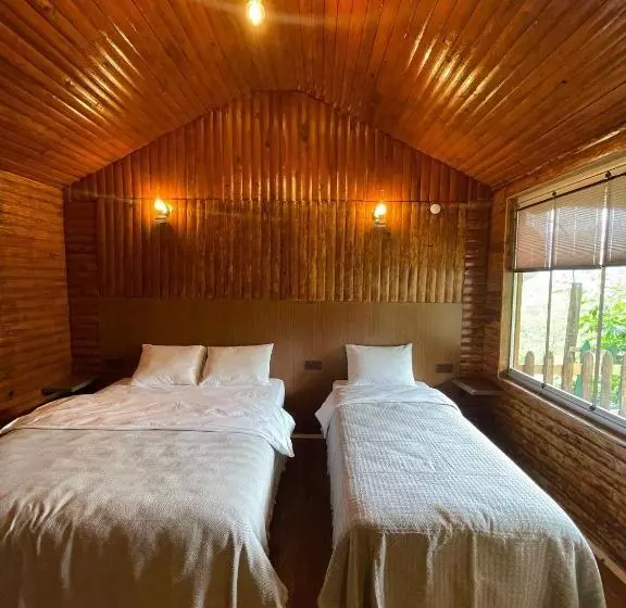 ホテル Li̇ya 107 Dağ Manzarali Oda