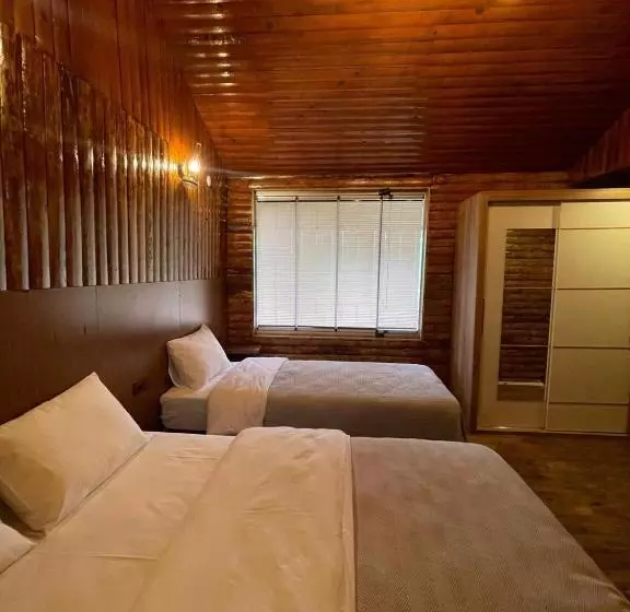 ホテル Li̇ya 107 Dağ Manzarali Oda