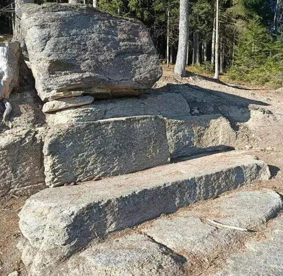 ペンション Herzogberghof