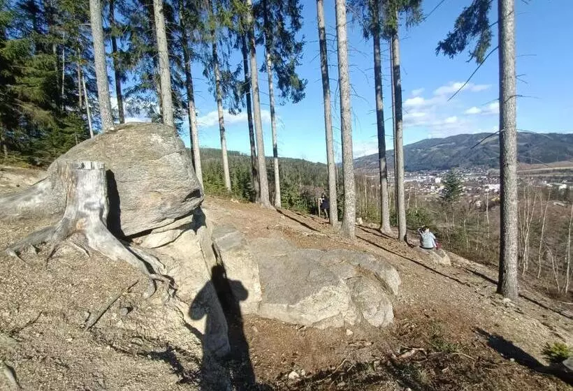 ペンション Herzogberghof