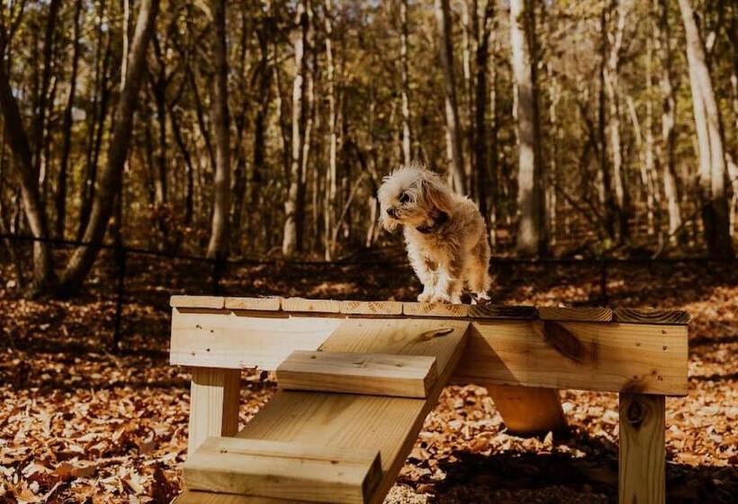 Курорт Game Room Luxury Glamping Tent Arcade Theme