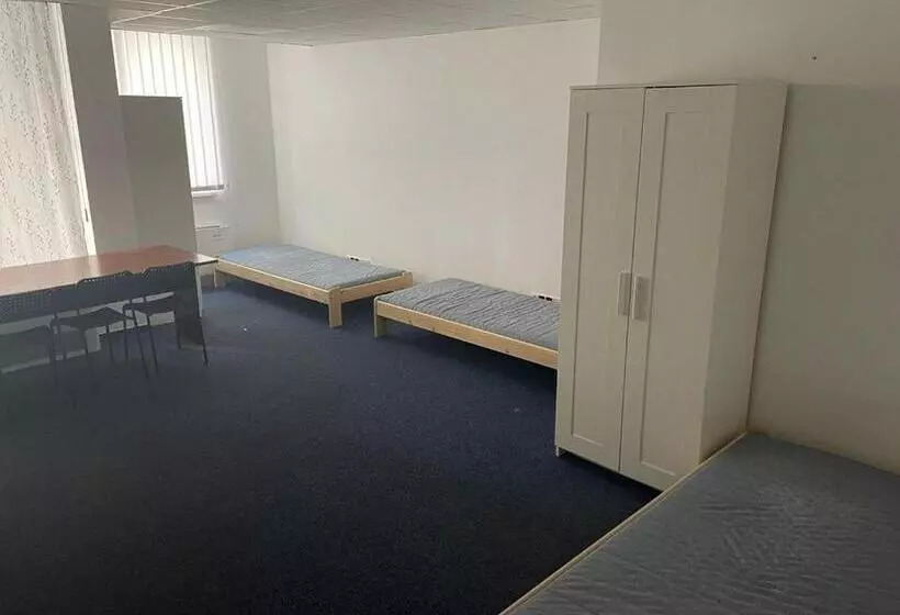Viola Hostel