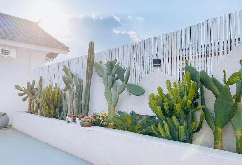 호텔 Shang Shan Ruo Shui 大理上山若水客栈