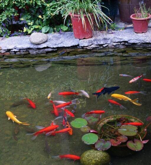 هتل Yangshuo Mountain Nest Boutique