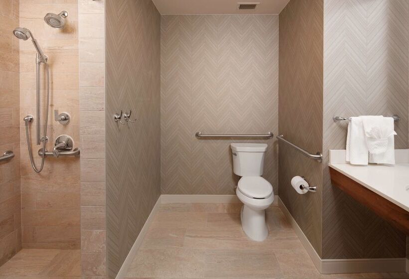 Отель Embassy Suites By Hilton Amarillo Downtown