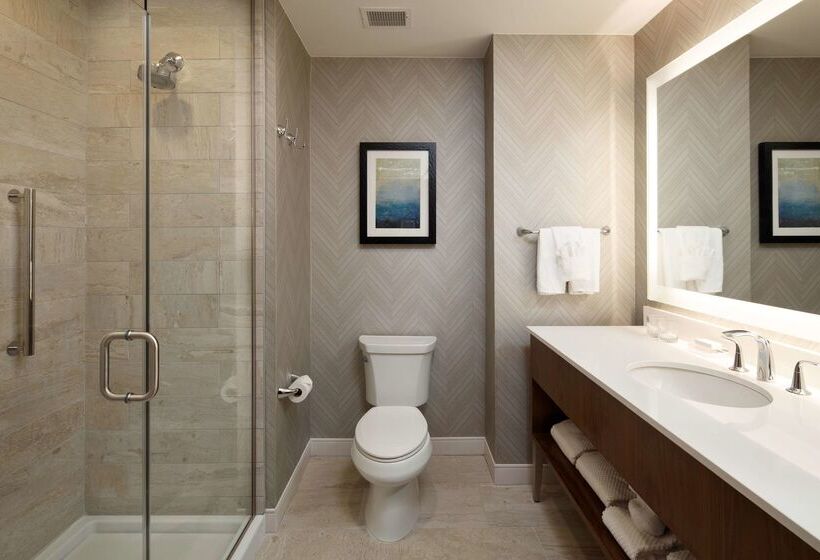 Отель Embassy Suites By Hilton Amarillo Downtown