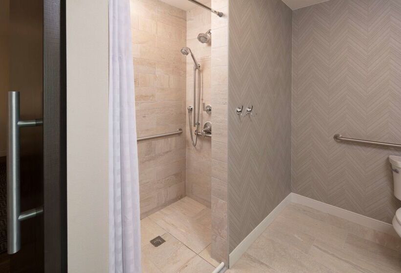 Отель Embassy Suites By Hilton Amarillo Downtown