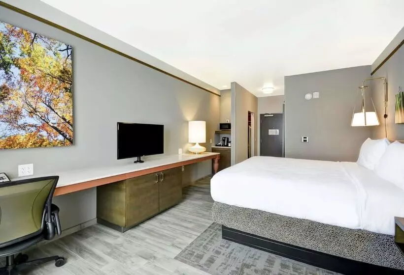 ホテル Hilton Garden Inn Phoenix/tempe Asu Area