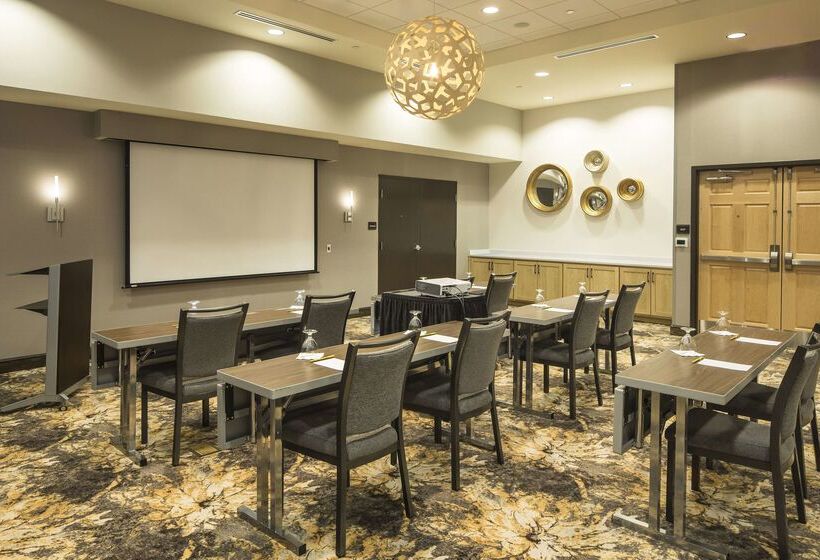 בית מלון כפרי Hilton Garden Inn Pittsburgh Airport