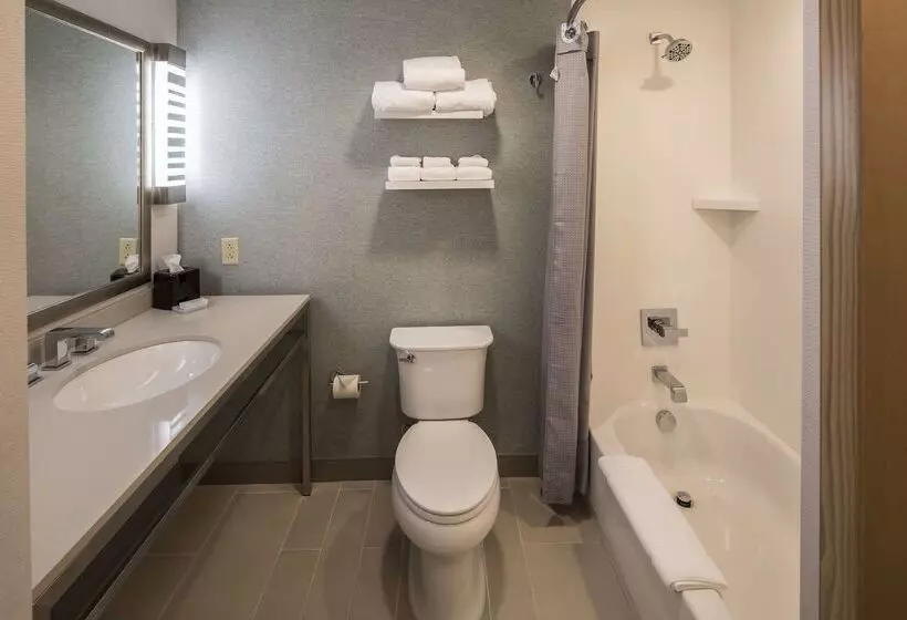 هتل Hilton Garden Inn Pittsburgh Airport