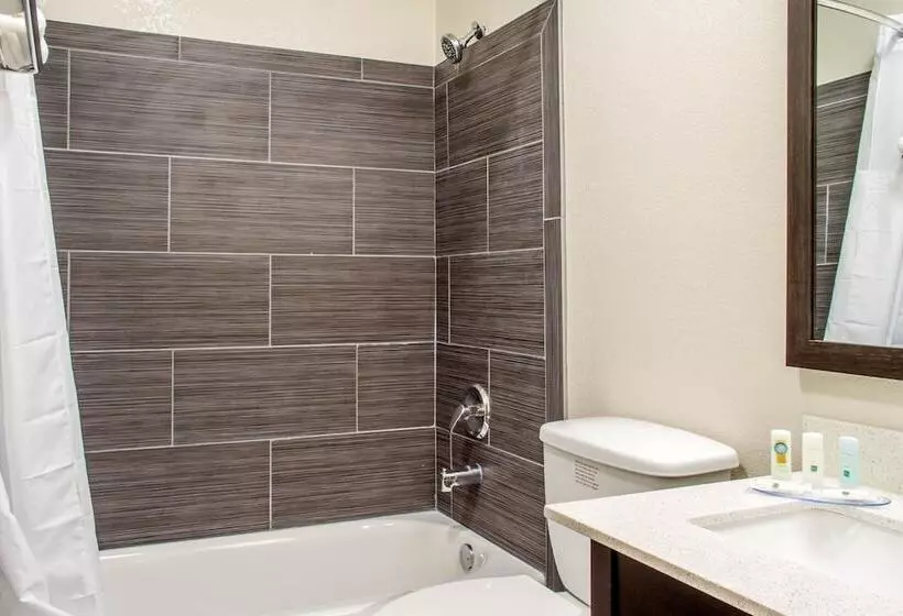 ホテル Quality Inn & Suites Maggie Valley   Cherokee Area
