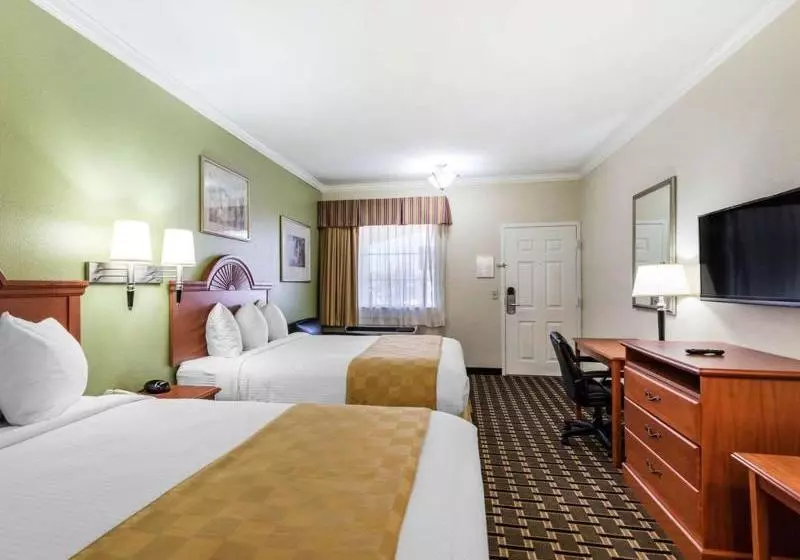 ホテル Rodeway Inn
