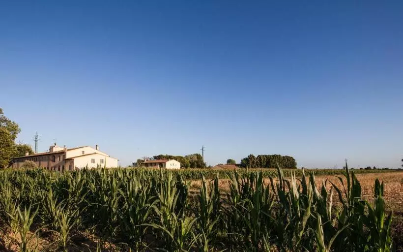 Cascina Canova B&b