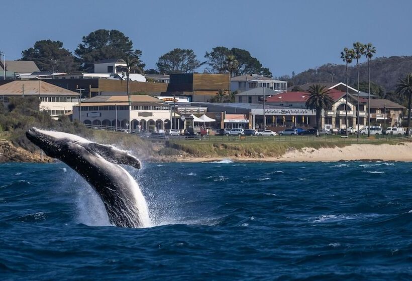 Отель Bermagui Beach