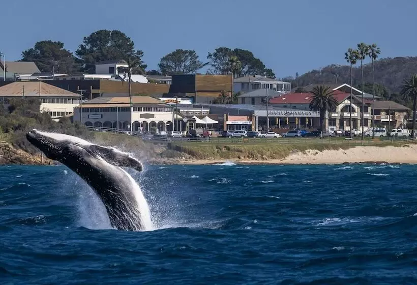 ホテル Bermagui Beach
