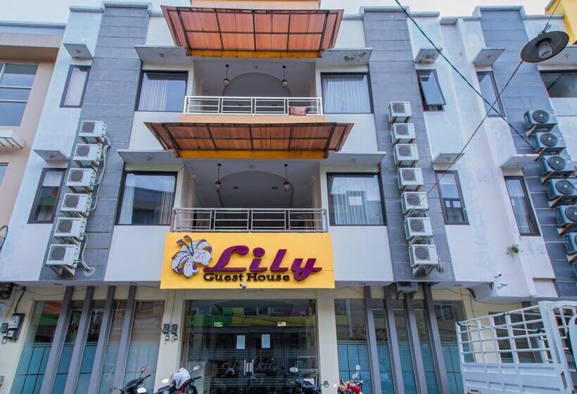 Hotel Lily Guest House