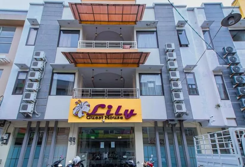 Hotel Lily Guest House