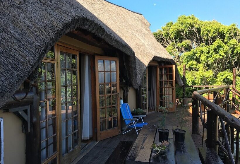 The Birdhouse Bed & Breakfast #no Loadshedding #solar Energy