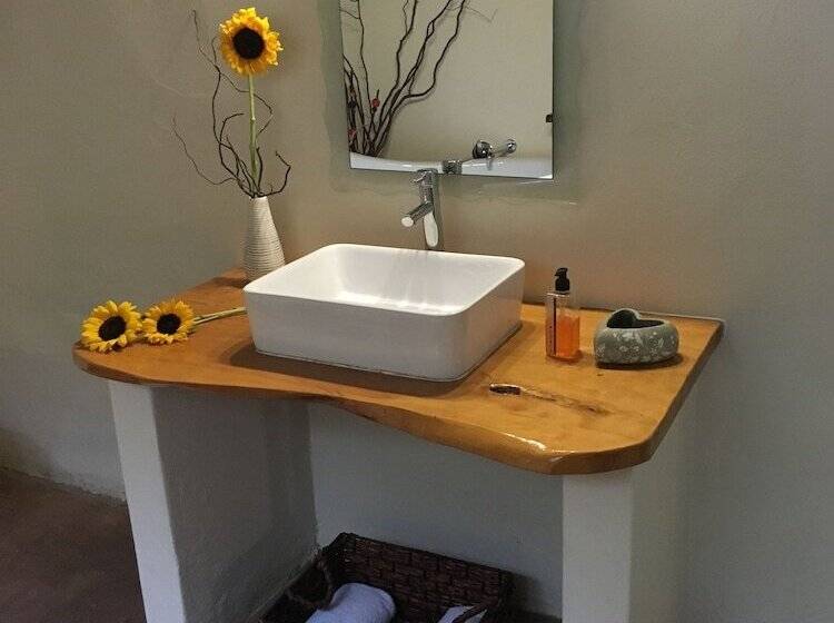 The Birdhouse Bed & Breakfast #no Loadshedding #solar Energy