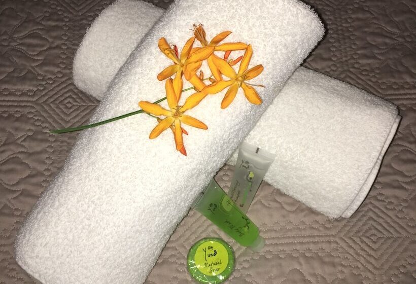 The Birdhouse Bed & Breakfast #no Loadshedding #solar Energy