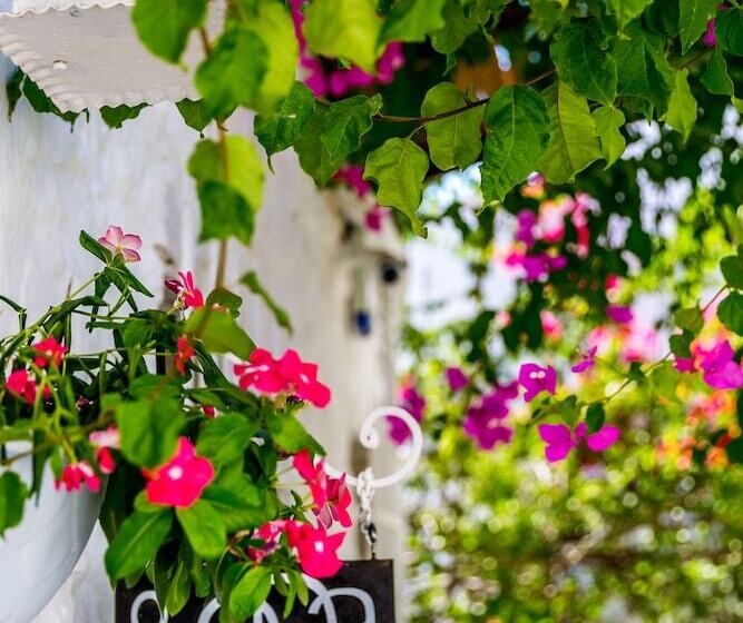 8 Oda Boutique Homes