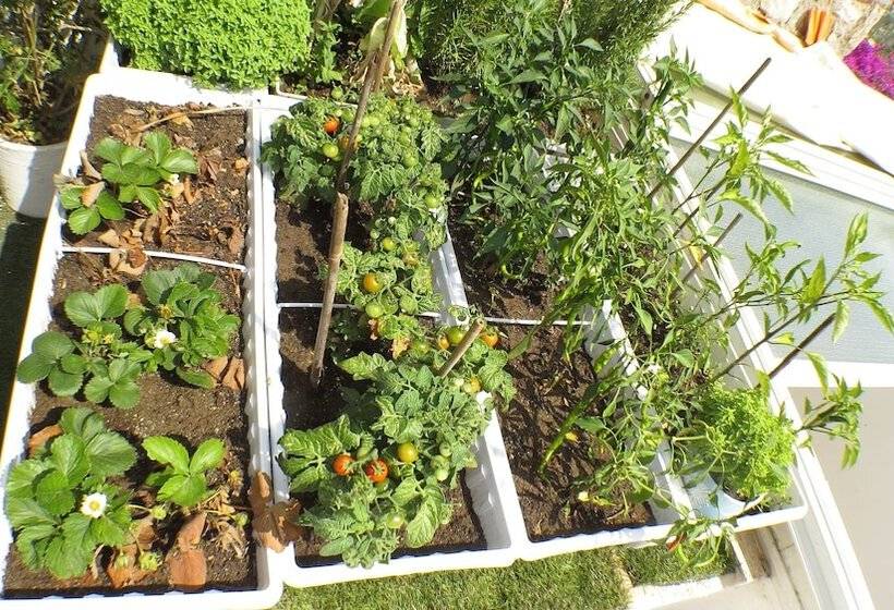 8 Oda Boutique Homes