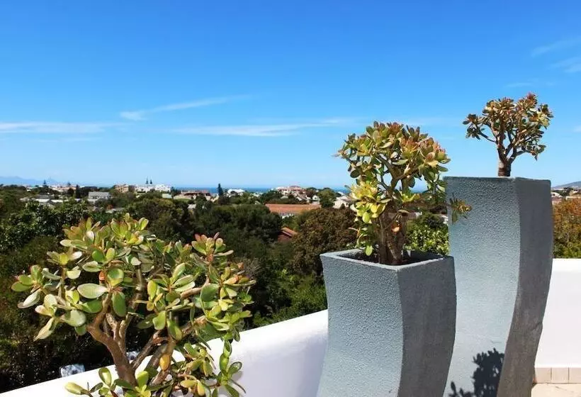 تختخواب و صبحانه Vilacqua Boutique Guest Villa