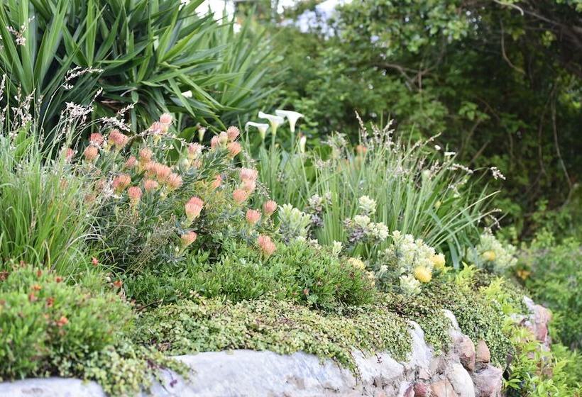 مبيت وإفطار Vilacqua Boutique Guest Villa