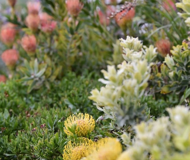 مبيت وإفطار Vilacqua Boutique Guest Villa