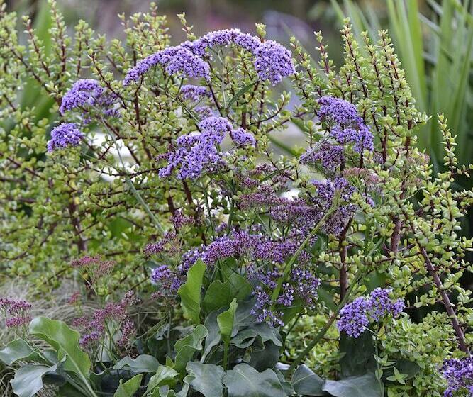 مبيت وإفطار Vilacqua Boutique Guest Villa