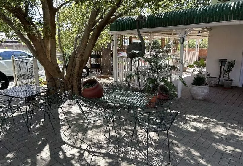 ペンション The Solomon Guest House