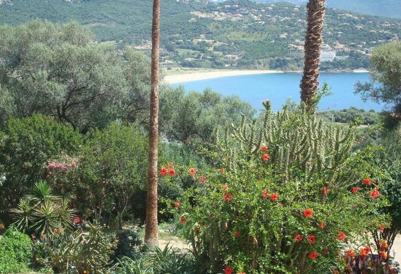 Résidence L Alivetu