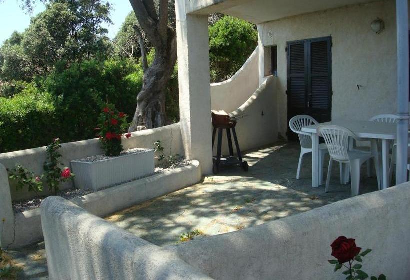 Résidence L Alivetu