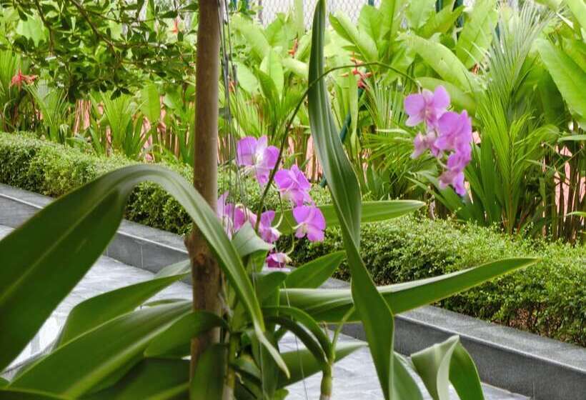 בית מלון כפרי Dyvith