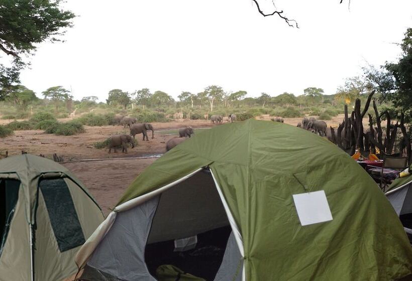 בית מלון כפרי Liya Lodge And Campsite