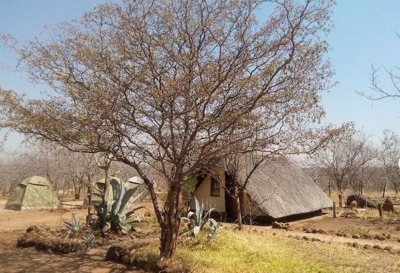 בית מלון כפרי Liya Lodge And Campsite