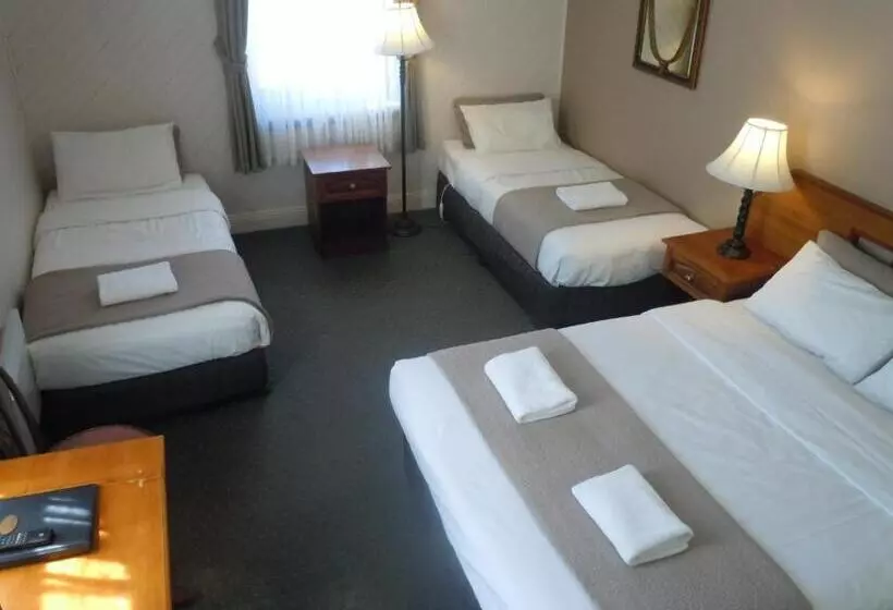 ホテル Central Springs Inn