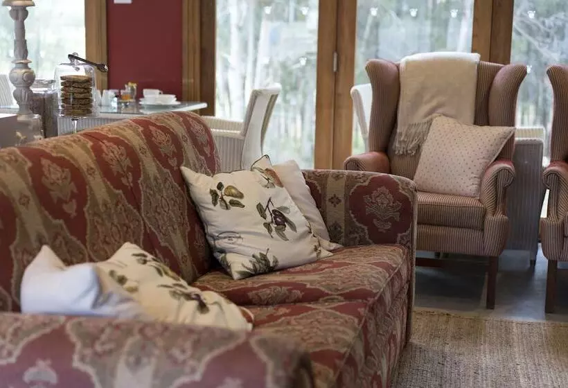 ホテル Thistle Hill Guesthouse   Walk To Many Wineries And Restaurants