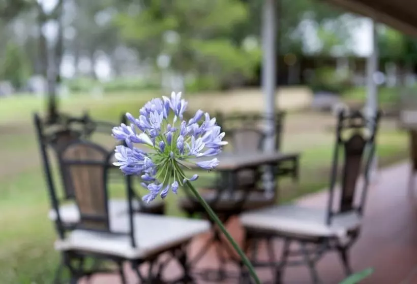 ホテル Thistle Hill Guesthouse   Walk To Many Wineries And Restaurants