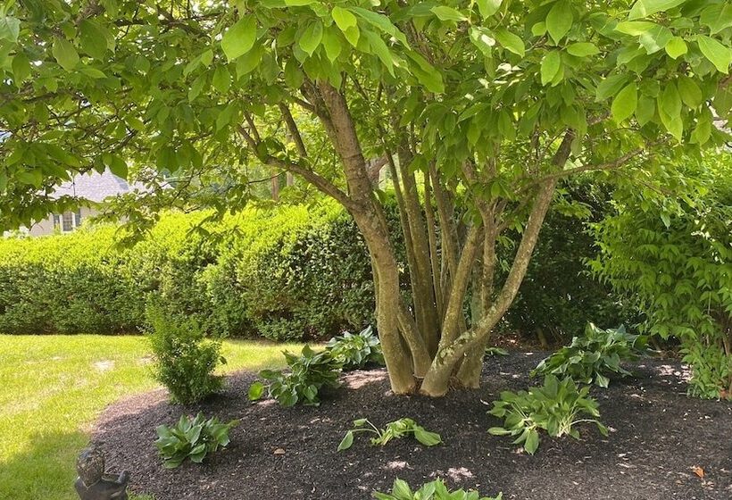 ベッドアンドブレックファースト Hillcrest Mansion Inn