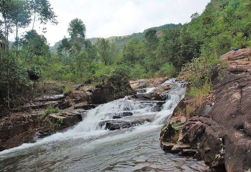 ベッドアンドブレックファースト Sabi Star Chalets