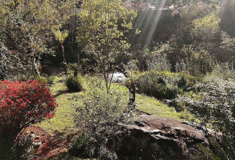 ベッドアンドブレックファースト Sabi Star Chalets